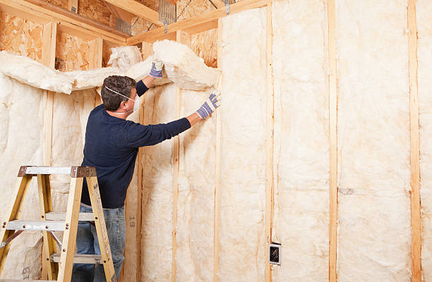 Best Basement Insulation  in Waynesville, OH